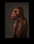 Реконструкция Australopithecus sediba

Credit

© Sculpture Elisabeth Daynes (http://www.daynes.com/) / Photo S. Entressangle.