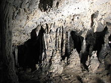 пещера Pestera_Muierii, Румыния