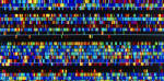 источник: https://hightech.fm/2017/06/23/long-read-genome-sequencing?is_ajax=1