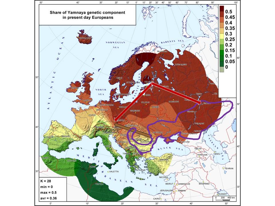 Распределение «ямного» генетического компонента среди населения Европы (по: Клейн, 2017)