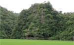 Пещера на о. Сулавеси. Источник: https://ichef.bbci.co.uk/news/976/cpsprodpb/14DAD/production/_116512458_brumm4hr_aaoktaviana.jpg