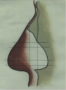 Схема реконструкции контура носа по форме носового отверстия черепа (рисунок Г.В. Лебединской).