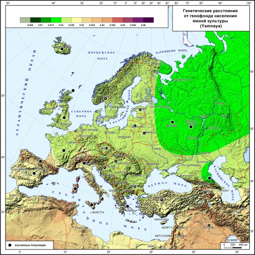 Yamnaya