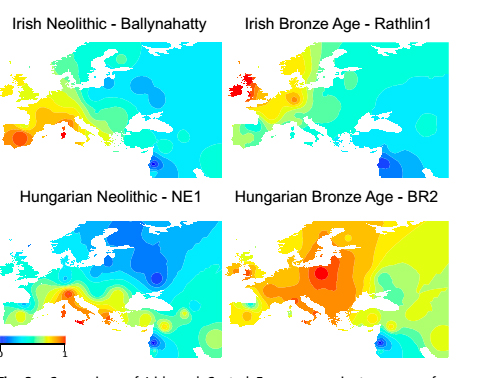 Сравнение древних геномов из Ирландии и Венгрии с геномами современных популяций (по аутосомным гаплотипам). Степень сходства показана цветом: более теплые цвета обозначают большее сходство.
