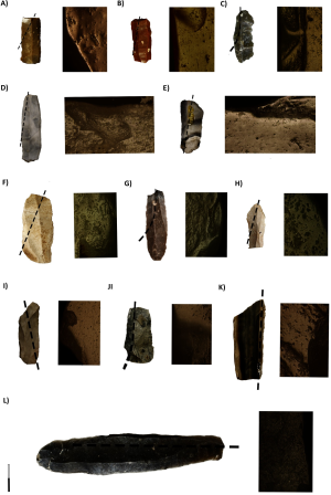 Каменные орудия для сбора урожая (Masclans et al., 2021)