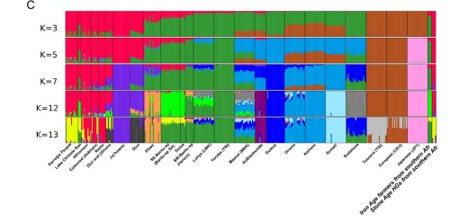 График анализа предковых компонентов ADMIXTURE при пазных значениях числа заданных предковых популяций (К).