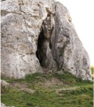Пещера Стайня. Picin et al, doi: 10.1038/s41598-020-71504-x.