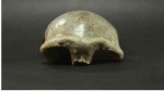 Фрагмент черепа из Сальхит (Image © Institute of Archaeology,
Mongolian Academy of Sciences)